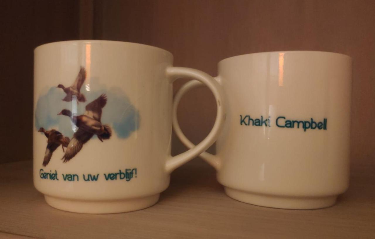 Khaki Campbell Villa Ermelo Exterior foto
